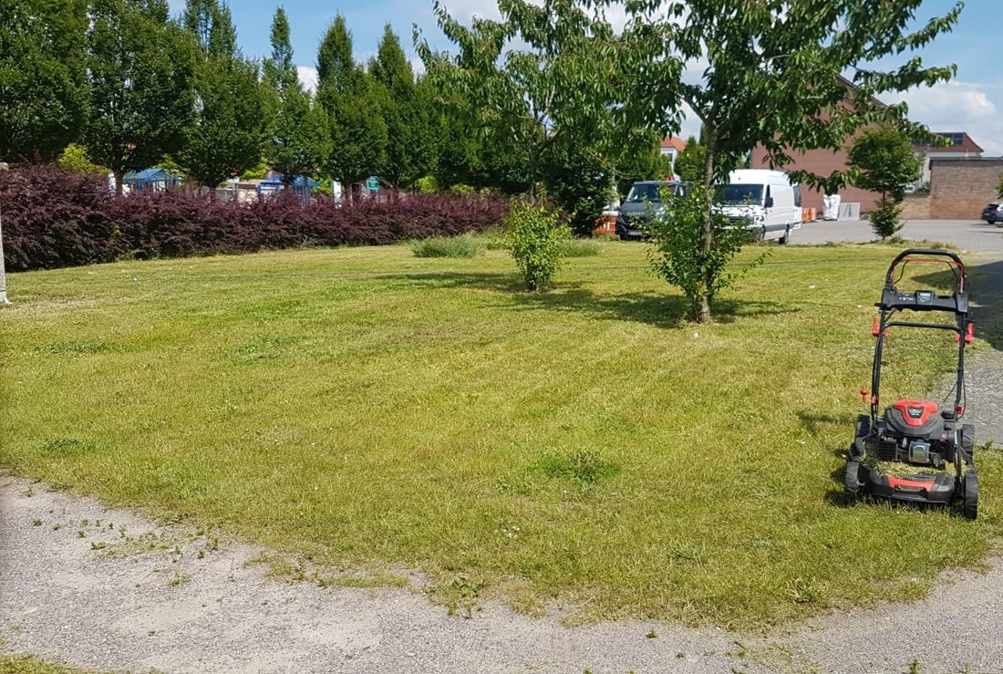 Frisch gemähte Rasenfläche bei der Objektpflege