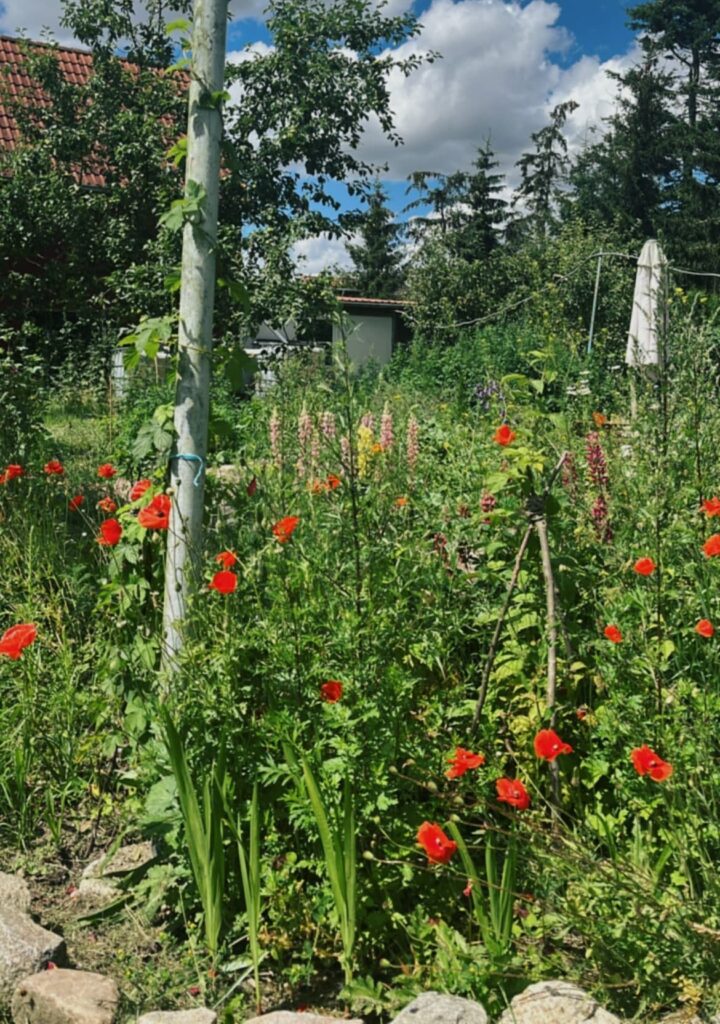 Natrunaher Garten Peenetal