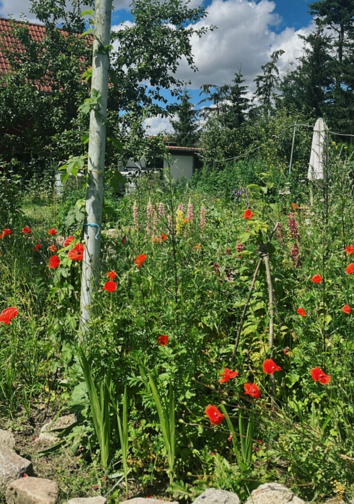 Natrunaher Garten Peenetal