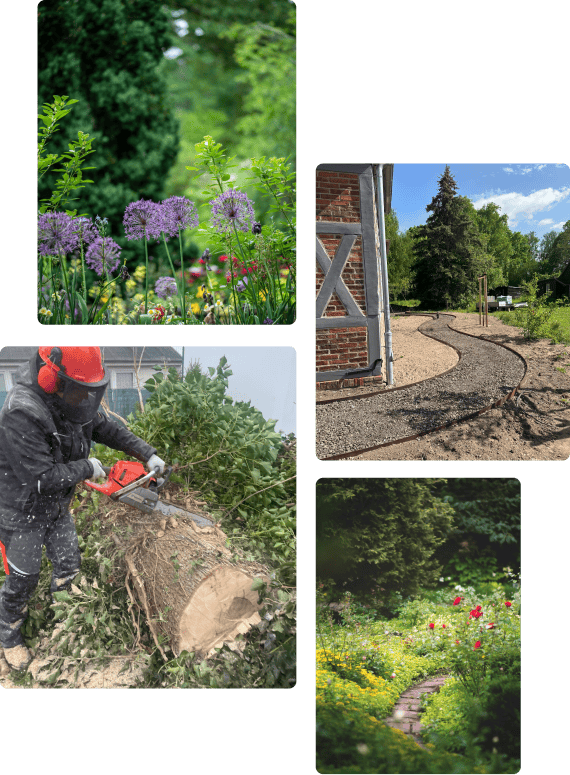 Titelbild Hanshelden Collage Foto