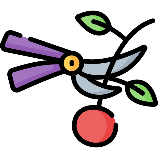 Obstbaumschnitt Icon Gehölzschnitt