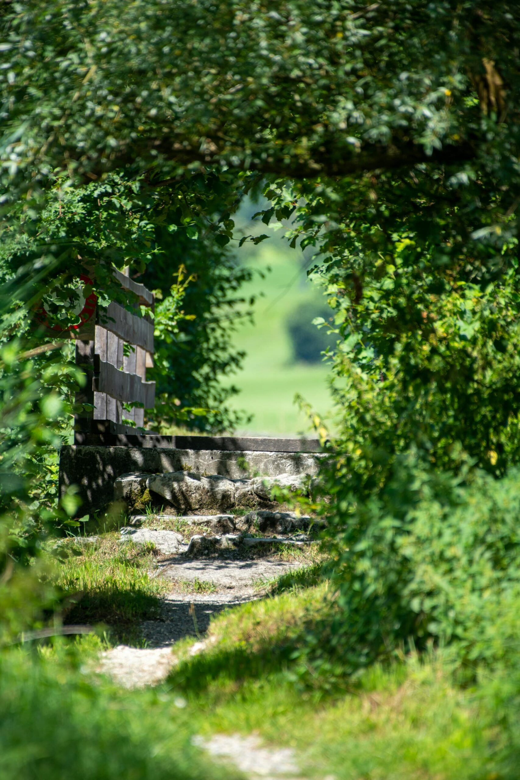 Naturnaher Garten mit Zaun