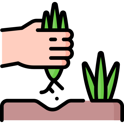 Gartenpflege Icon Beikraut entfernen