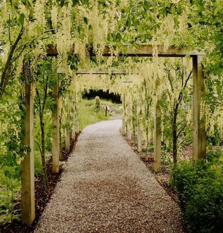 Gartenweg gestalten: 5 kreative Ideen & Materialien