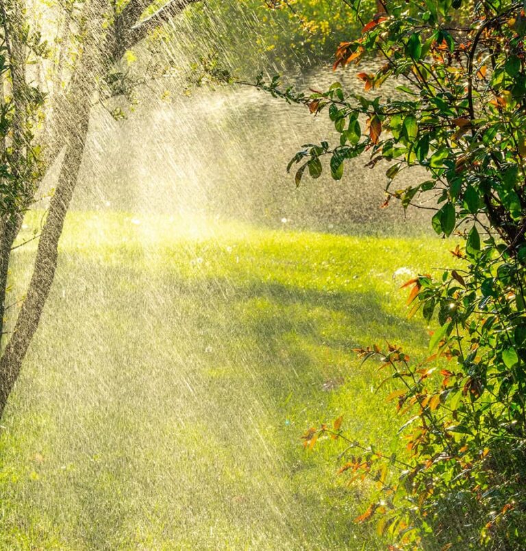Regenwasser im Garten nutzen – Lösungen für moderne Wasserspeicherung